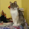 Отзыв от Татьяна Лукьянова